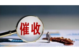 昌宁昌宁讨债公司服务