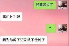 昌宁如何避免债务纠纷？专业追讨公司教您应对之策