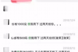 昌宁为什么选择专业追讨公司来处理您的债务纠纷？